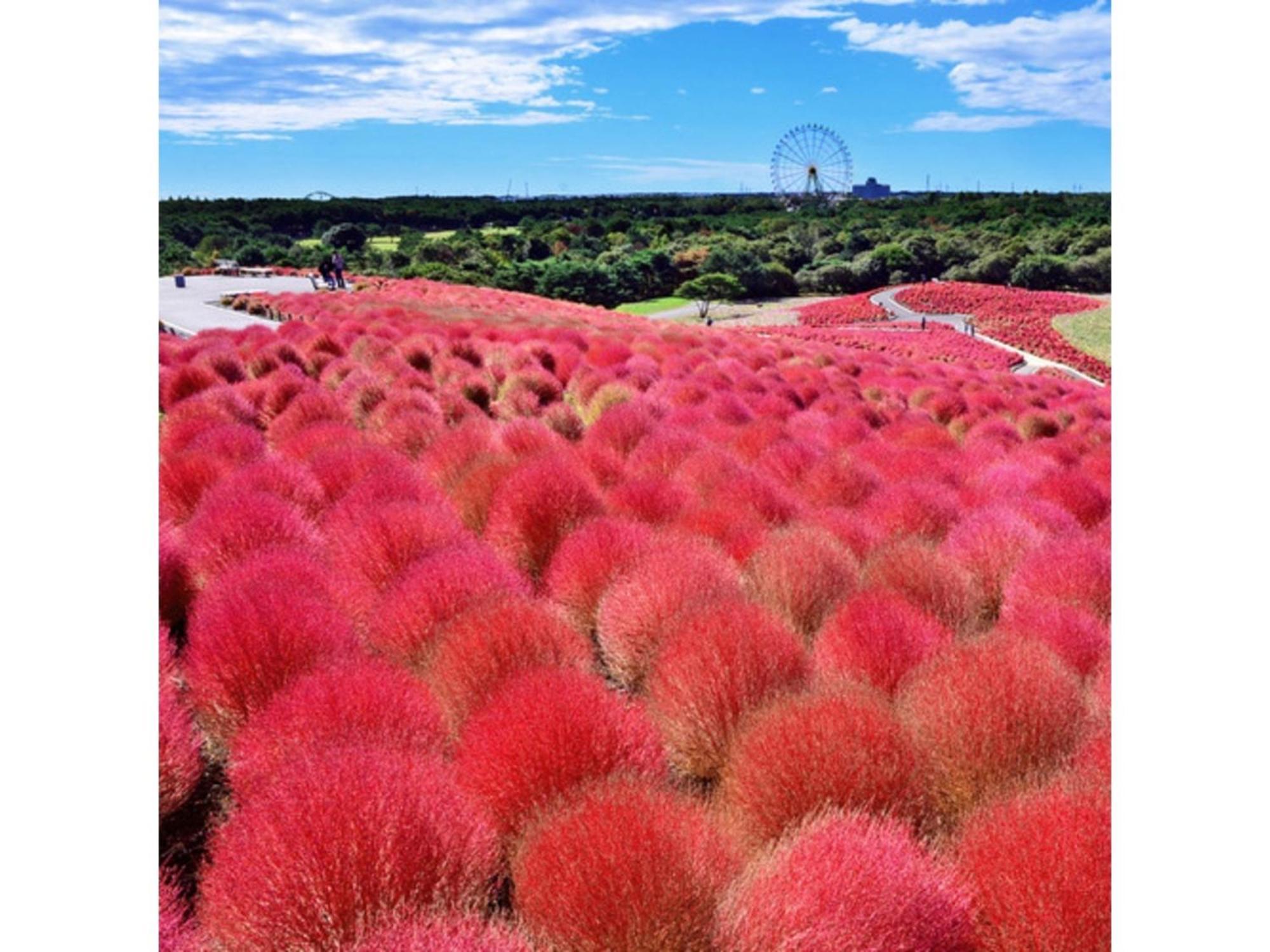 Hotel Crystal Palace - Vacation Stay 61203V Hitachinaka Esterno foto