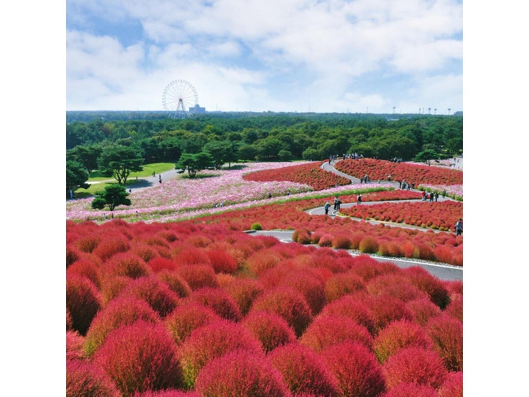 Hotel Crystal Palace - Vacation Stay 61203V Hitachinaka Esterno foto